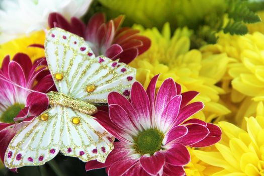 Bunch of different flowers close up background