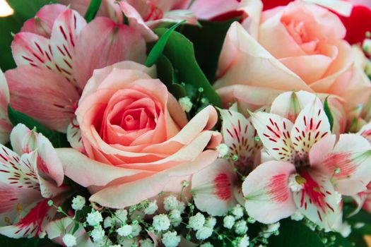 Bunch of different flowers close up background