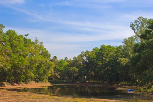 swamp and green forest  in Temple of The Wat Rhai Pa, Trat, Thailand