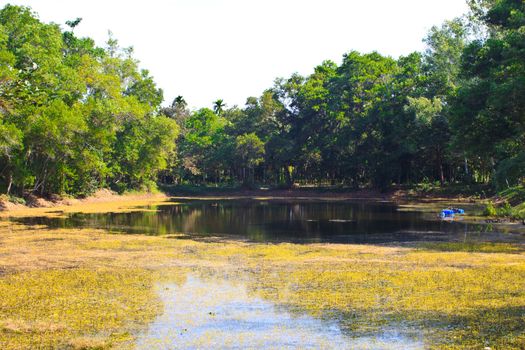 swamp and green forest  in Temple of The Wat Rhai Pa, Trat, Thailand