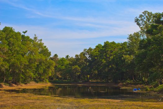 swamp and green forest  in Temple of The Wat Rhai Pa, Trat, Thailand