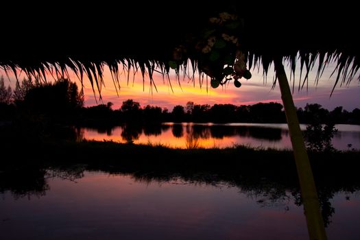 trees silhouette on sunset Thailand river