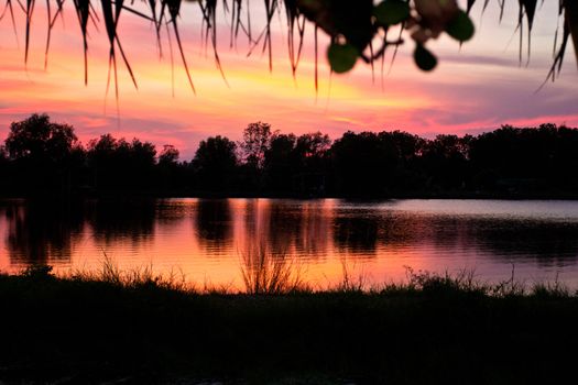 trees silhouette on sunset Thailand river