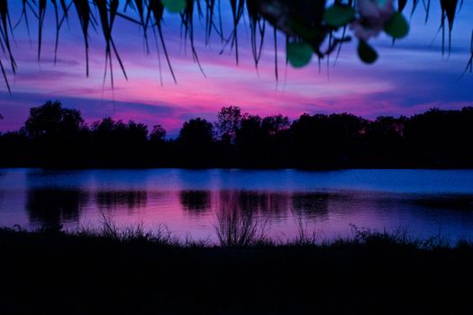 trees silhouette on sunset Thailand river