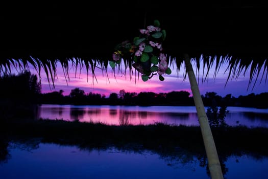 trees silhouette on sunset Thailand river