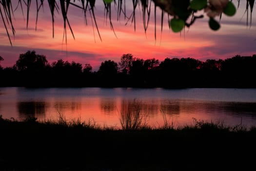 trees silhouette on sunset Thailand river