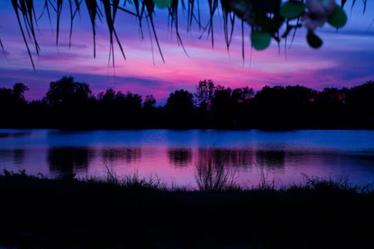 trees silhouette on sunset Thailand river