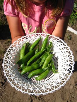 little girl proposing fresh peas in the plate