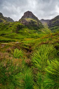 View of Glen Coe mountains with greenery foreground, Scotland, Great Britain
