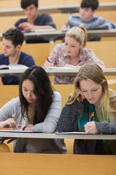 Students studying in a lecture hall with one girl using tablet pc in college