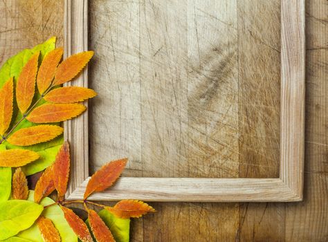 autumn leaves on a wooden surface