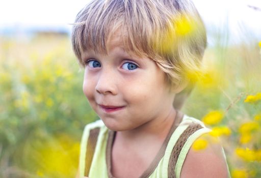 little boy in flowers field