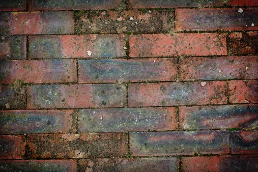 Texture of bricks wall in orange