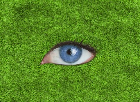 Blue eye in the middle of grass texture
