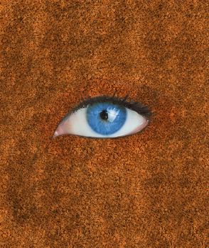 Blue eye over brown autumnal texture 