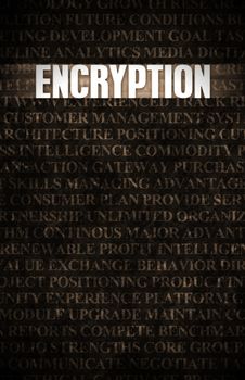 Encryption in Business as Motivation in Stone Wall