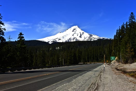 Mt. Hood and the surrounding forest near hwy. 26