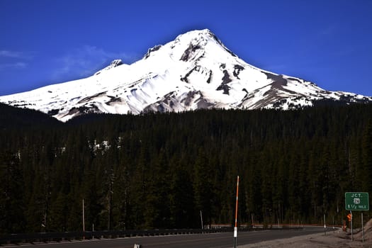 Mt. Hood and the surrounding forest near hwy. 26
