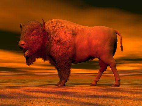Bison standing with open mounth in red color background