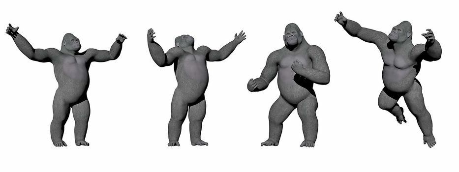 Gorillas up in four different positions in white background