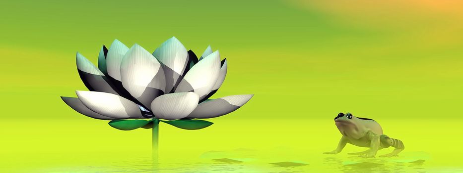 Little forg standing on a leaf next to a white lotus flower in green foggy background