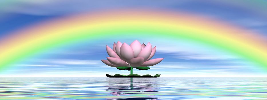 Beautiful pink lotus flower on water and under rainbow and cloudy blue sky