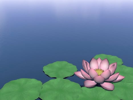 Beautiful lotus flower and green leaves on water