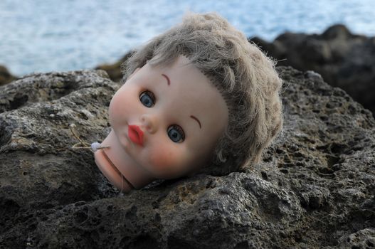 One Ancient Dool's Head Abandoned on the Rocks