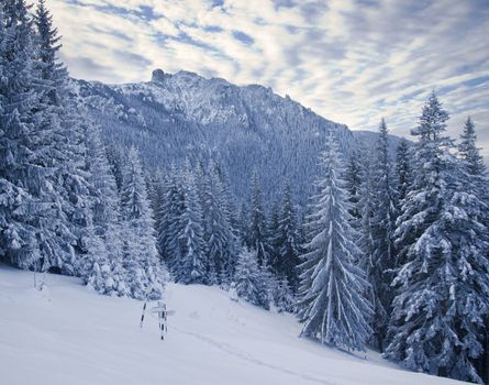 winter mountain landscape in forest, Romanian Carpathians