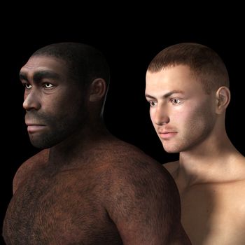 Digital Illustration of a Homo Erectus
