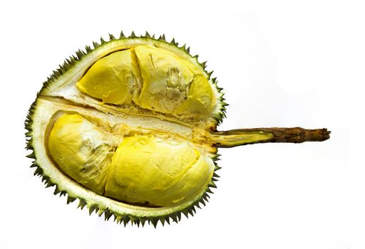 long stem, king of durian sweet and delicious