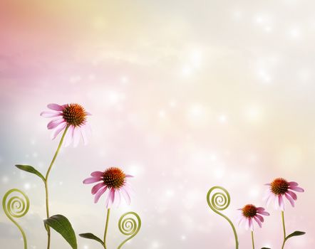 Echinacea and plant tendrils on fantasy pastel pink colored background