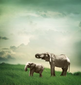 Elephant mother and child together in fantasy hill