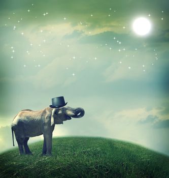 Elephant with top hat on fantasy landscape under the moon