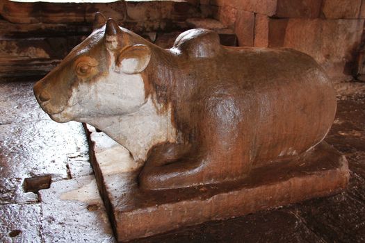 Nandi is the vehicle of shiva