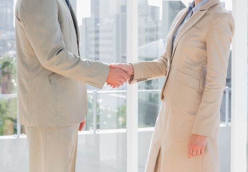Business people shaking hands in bright office