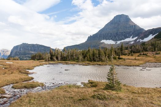 This pool of water lies beside Mount Reynolds in the Logan Pass area.