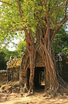 Ta Som temple, Angkor area, Siem Reap, Cambodia