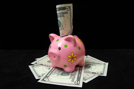 Save Money with One Pink Pig Piggy Bank