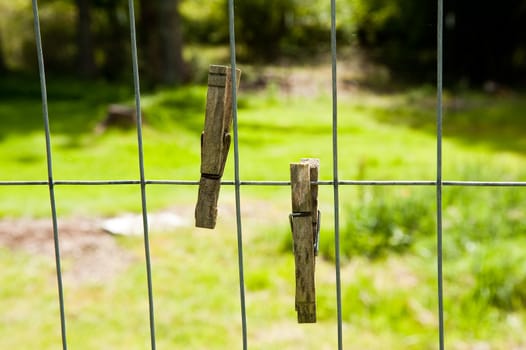 Clothespins on a fence in a yard