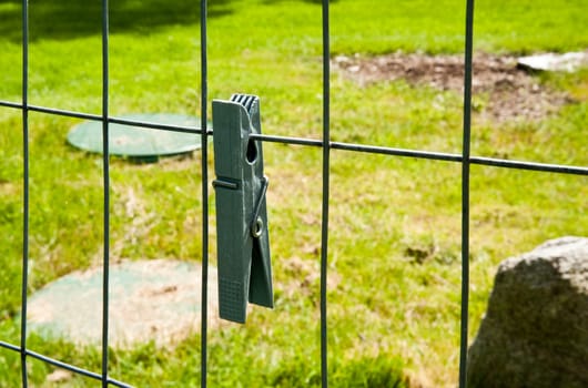 Clothespin on a fence in a yard