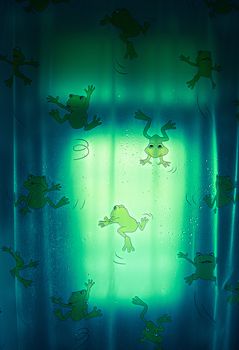 The Frog Curtain Design in Wash Room .