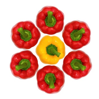 Top view, red and yellow sweet bell pepper isolated on white background