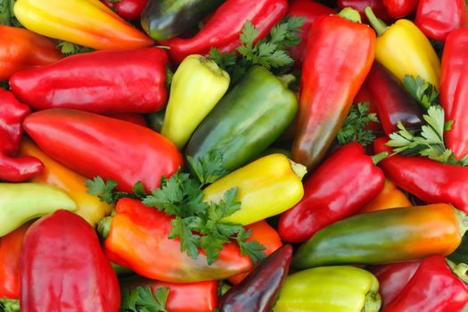 A large number of different varieties of pepper and painting together with parsley leaves