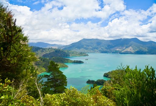 Marlborough Sounds as seen from Queen Charlotte Track