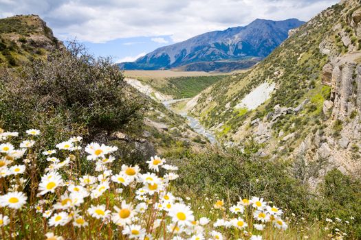 Broken River at Cave Stream Scenic Reserve in New Zealand