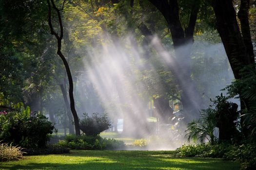 water sprau amd light in public park use for nature freshness in park and garden