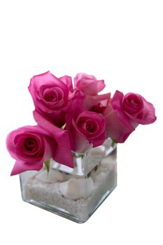 pink rose flower arrangement in vase on white