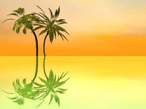 Palm trees and their reflection on orange sunset background