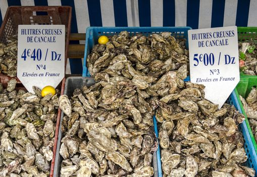 The oyster market in France, Brittany,Cancale - centre for oyster farming